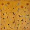 Ten Square Line Dance: Golden Glow