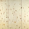 Double Burn Series: Spring Triptych
