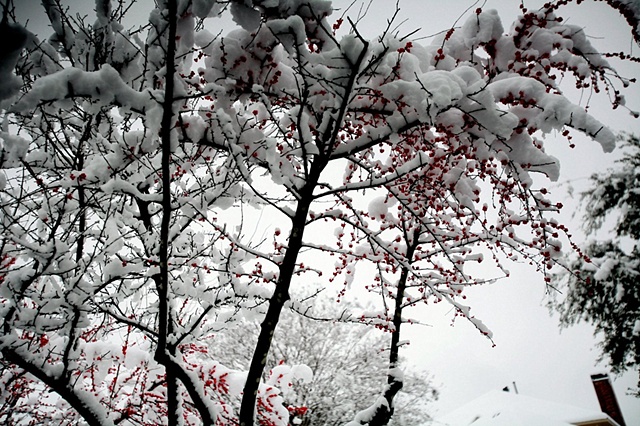 winter