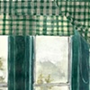 Untitled (window 1)