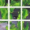 Untitled (window 13)