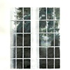 Untitled (window 6)