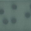 Black dots on blue green (Landscape prints) 2/7 movements 