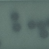 Black dots on blue green (Landscape prints) 1/7 movements 