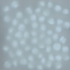 Dots on blue, 1 / 3 movements