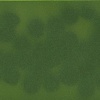 Black dots on green (landscape print) 2/7 movements
