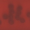 Dark dots on red (landscape print) 1/7 movements