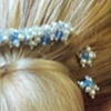 Diana Comb and Pins