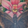 Butterfly with ferns
