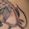 Trilobyte