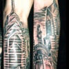 Philly 1/2 sleeve