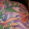 Lillies
