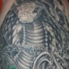 HP half Sleeve