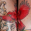 Cardinals