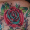 Roses 