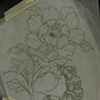 Sketches