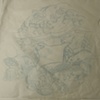 2011 Steves arm