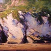 Afternoon light on the shorecliff