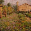 Castoro Vineyards