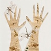 dragonfly gloves