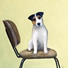 jack russell on mid century chair
