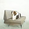 mid century chair with big dog
