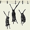 three hares