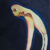 Yellow Driftwood