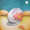 Despite Seemingly Insurmountable Odds, A Flower is Born in the Desert