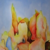 Sea Sponge