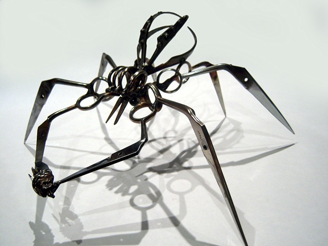 Large Scissor Spider with Captive Bug (3)