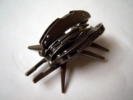 Beetle2