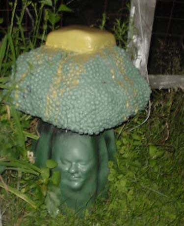 Broccoli