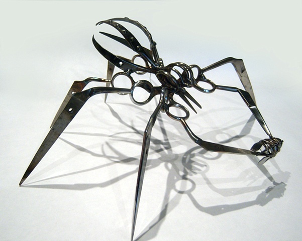 Large Scissor Spider with Captive Bug (1)