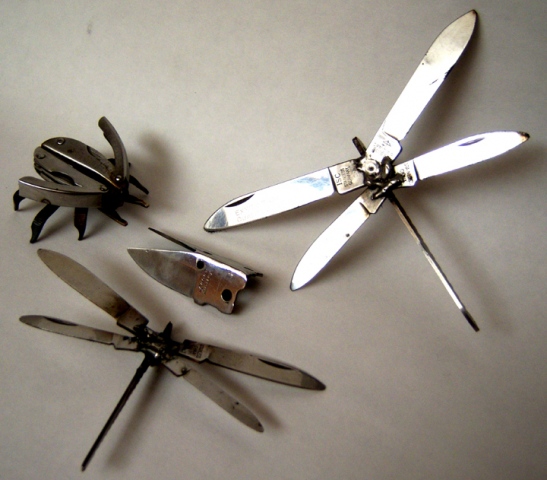 4 Bugs