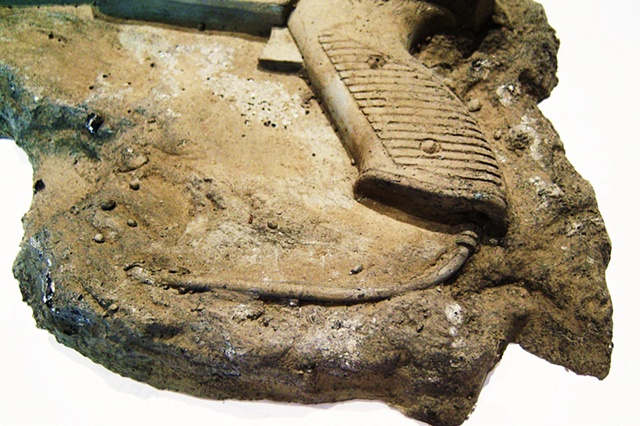 Anaticula persequor
