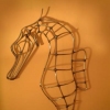 Seahorse