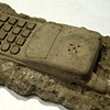 Deferovoculae cellarius