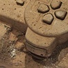 Ludustatarium temperosony (brown)