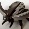 Beetle Open