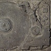 Egosiliqua malusymphonicus Guts