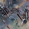 Scissor Spiders