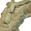 Anaticula persequor