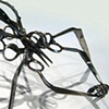 Large Scissor Spider with Captive Bug (1)