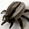 Beetle Closed