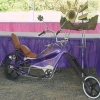 Bondo Bike