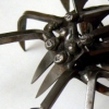 Small Spider 3