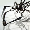 Large Scissor Spider with Captive Bug (3)