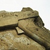 Anaticula persequor