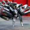 Small Scissor Spider